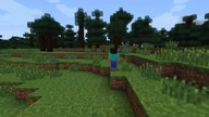 MINECRAFT W SKRÓCIE