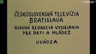 Sąsiedzi- Wredny garaż (Fokus TV)