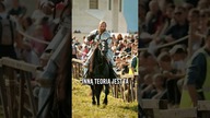 Konie TEGO nie potrafią 