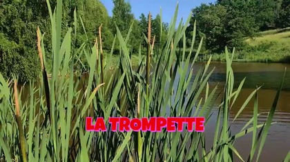 Cover piosenki: In-Grid - La Trompette, 5.07.2025 rok.
Karaoke: https://www.youtube.com/watch?vbKQYh4R7awQ&listRDbKQYh4R7awQ&start_radio1
Piosenka: https://www.youtube.com/watch?vibRCc0Zc5No&listRDibRCc0Zc5No&start_radio1