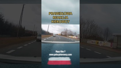 Test łosia na polskiej drodze! Zimna głowa ratuje przed wypadkiem #droga #bezpieczeństwo #traffic