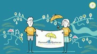 DINKSY fairytale for Parasol Roztocza - about Fundacja Parasol Roztocza