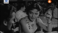 Stella