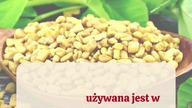 Niesamowite właściwości kozieradki