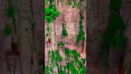 Droga w Zhangjiajie, Chiny