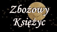 Zbożowy Księżyc - sierpień 2024