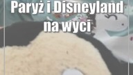 Paryż i Disneyland na wyciągnięcie małych rączek
