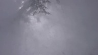 Winter in
