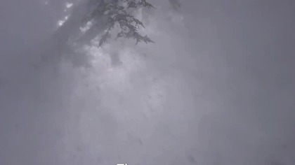 Winter in