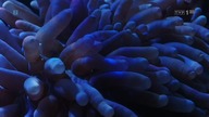 Ziemia. widziana. z. kosmosu E03. Colourful.planet. 2019.pl