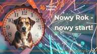 Nowy Rok - nowy start