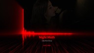 DjkaNonStop - Nightmoth