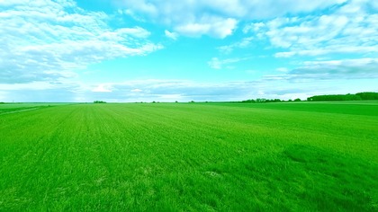 Nature Without Civilization ; Field and Birdsong