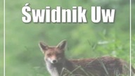 Lublin: Ruszają prace drogowe na ul.  Nadbystrzyckiej