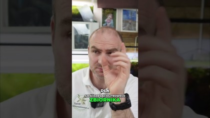 Koszty zestawu CO2 i wydajność butli 