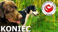 O jednego YouTubera mniej w Kambodzy