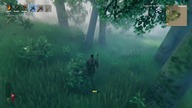 valheim z kababem.  koniec okukacji