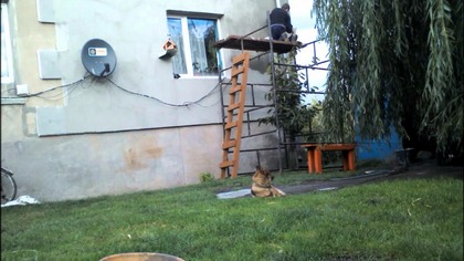 Ocieplanie domu time lapse :)