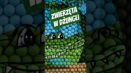 Zwierzęta w dżungli dla dzieci z piłkami - Krokodyl