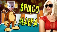 CHWYTAK & ZUZA - ŚPIĄCO MAŁPA (TONES AND I - DANCE MONKEY/PARODY)[ChwytakTV]