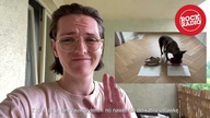 Znamy wynik finału Ligi Mistrzów - pies Kajtka nie może się mylić ;) [Rock Radio]