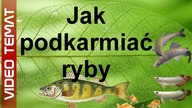 Jak podkarmiać i zanęcać ryby na łowisku