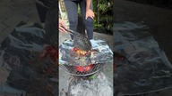 Żółw na grillu