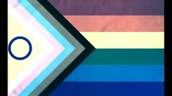 Everyone Is Gay (Speed)
