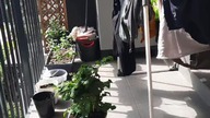 Sprawdzamy poparcie Tuska (ankieta)