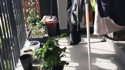 Sprawdzamy poparcie Tuska (ankieta)