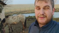 Ile kosztowały Nas konie? Wywóz rzepaku