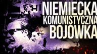 Anarchisci w Niemczech, czyli Ruch 2 Czerwca