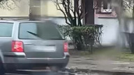 Polak potrafi!