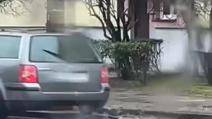 Polak potrafi!