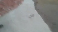 Co się stanie gdy samochód uderzy w hydrant?