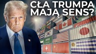 DLACZEGO TRUMP STAWIA NA CŁA?  PROTEKCJONIZM w PRAKTYCE