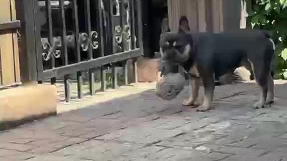 53be90bd-8172-40d5-be66-e450b4857c7c