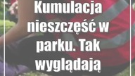 Kumulacja nieszczęść w parku.  Tak wyglądają Mistrzostwa Pierwszej Pomocy