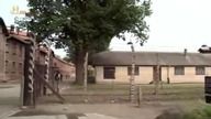 Auschwitz - Droga do Piekła [FILM POLSKI]