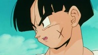 DragonBall Z Abridged: odcinek 33 - TeamFourStar (TFS) Lektor Pl