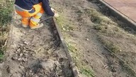Pirańczuchy