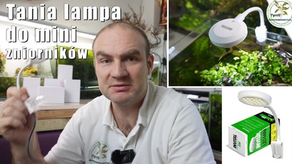 Mała lampka od Invital - do nano zbiorników.
