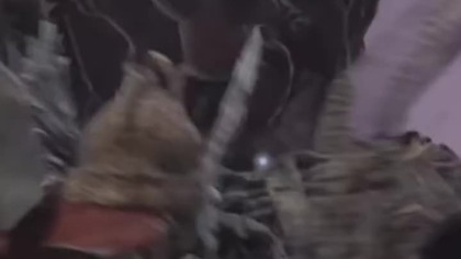 Elden Ring - Boss : Maggie Królowa Półludzi