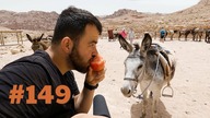 #149 Przez Świat na Fazie - Petra | JORDANIA