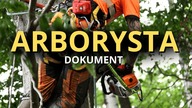 ARBORYSTA || Okiem ZULa