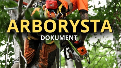 ARBORYSTA || Okiem ZULa