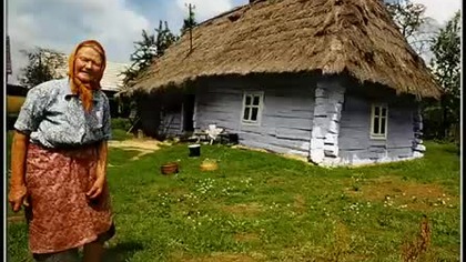 Gdzie są pieniądze za las?
