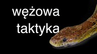 Wężowa taktyka