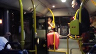 M&oacute;j kraj taki piękny   