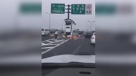 LiveLeak - Driver couldnt make up their mind so they went straight